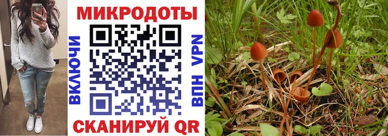 ссылка на мегу зеркало  Ковылкино  Псилоцибиновые грибы Psilocybe 